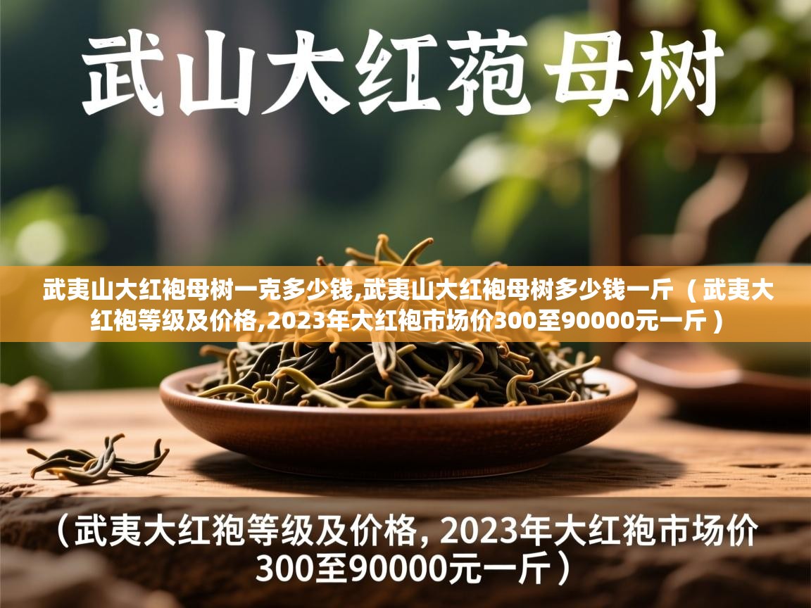  武夷山大红袍母树一克多少钱,武夷山大红袍母树多少钱一斤  ( 武夷大红袍等级及价格,2023年大红袍市场价300至90000元一斤 )