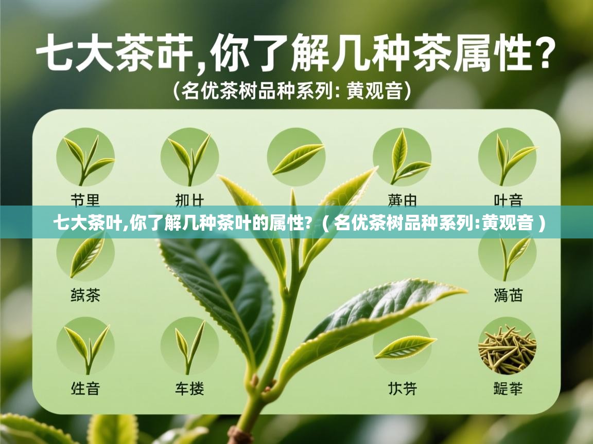  七大茶叶,你了解几种茶叶的属性?  ( 名优茶树品种系列:黄观音 )