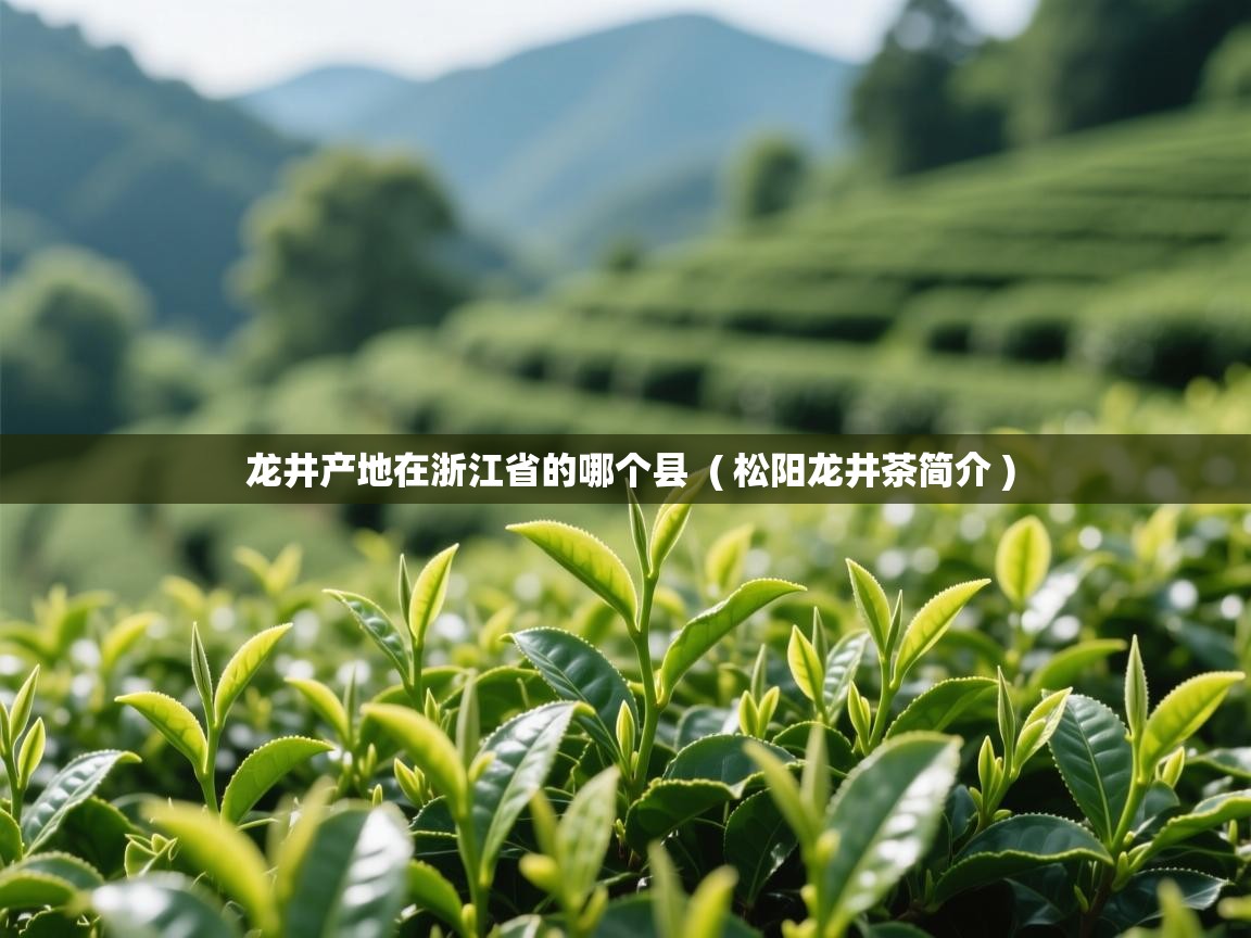  龙井产地在浙江省的哪个县  ( 松阳龙井茶简介 )