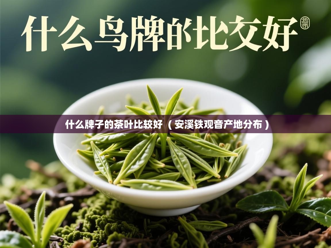  什么牌子的茶叶比较好  ( 安溪铁观音产地分布 )