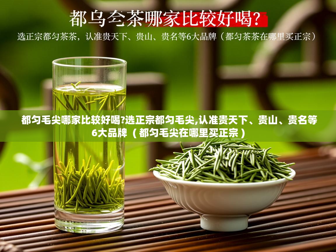  都匀毛尖哪家比较好喝?选正宗都匀毛尖,认准贵天下、贵山、贵名等6大品牌  ( 都匀毛尖在哪里买正宗 )