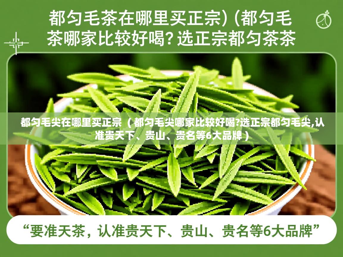  都匀毛尖在哪里买正宗  ( 都匀毛尖哪家比较好喝?选正宗都匀毛尖,认准贵天下、贵山、贵名等6大品牌 )