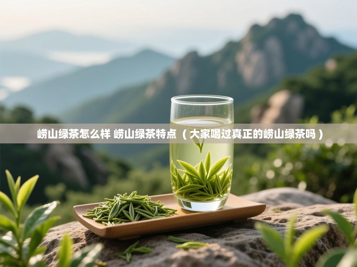  崂山绿茶怎么样 崂山绿茶特点  ( 大家喝过真正的崂山绿茶吗 )