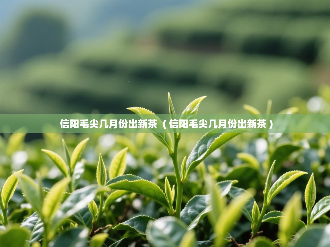  信阳毛尖几月份出新茶  ( 信阳毛尖几月份出新茶 )