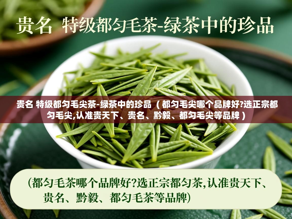 详细阅读: 贵名 特级都匀毛尖茶-绿茶中的珍品  ( 都匀毛尖哪个品牌好?选正宗都匀毛尖,认准贵天下、贵名、黔毅、都匀毛尖等品牌 )  贵名 特级都匀毛尖茶-绿茶中的珍品  ( 都匀毛尖哪个品牌好?选正宗都匀毛尖,认准贵天下、贵名、黔毅、都匀毛尖等品牌 )
