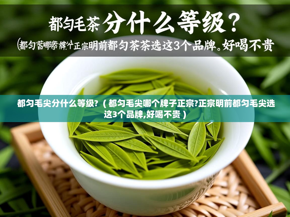详细阅读: 都匀毛尖分什么等级?  ( 都匀毛尖哪个牌子正宗?正宗明前都匀毛尖选这3个品牌,好喝不贵 )  都匀毛尖分什么等级?  ( 都匀毛尖哪个牌子正宗?正宗明前都匀毛尖选这3个品牌,好喝不贵 )