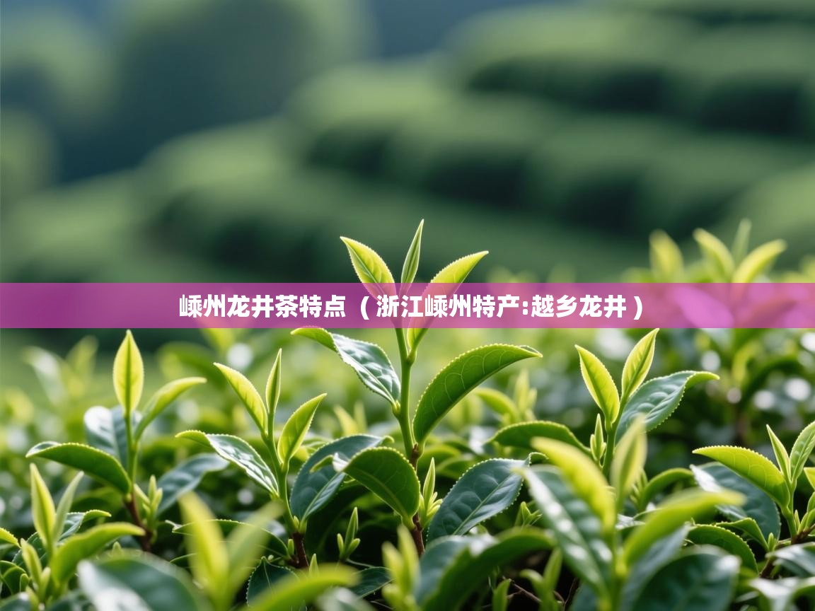  嵊州龙井茶特点  ( 浙江嵊州特产:越乡龙井 )
