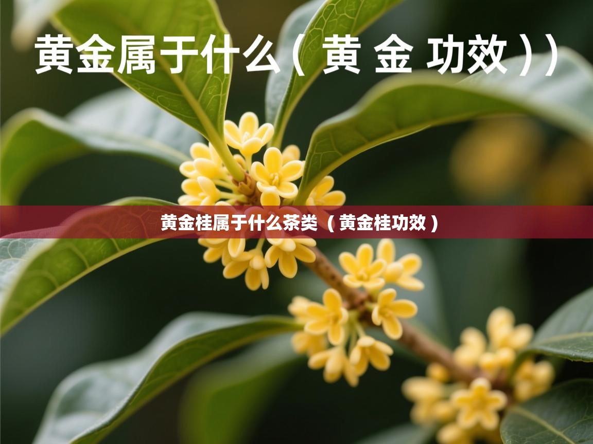  黄金桂属于什么茶类  ( 黄金桂功效 )