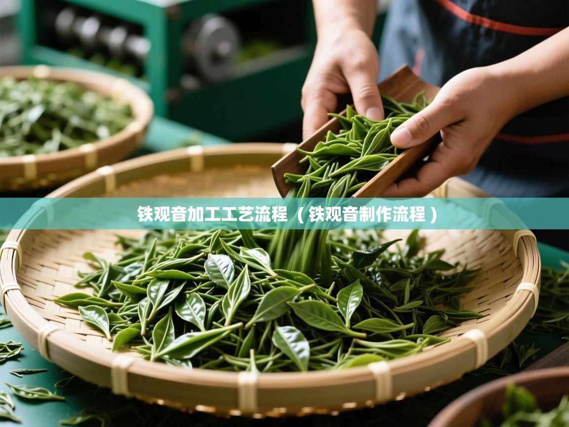  铁观音加工工艺流程  ( 铁观音制作流程 )