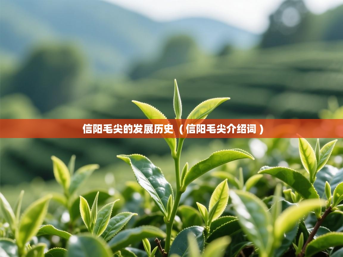 详细阅读: 信阳毛尖的发展历史  ( 信阳毛尖介绍词 )  信阳毛尖的发展历史  ( 信阳毛尖介绍词 )