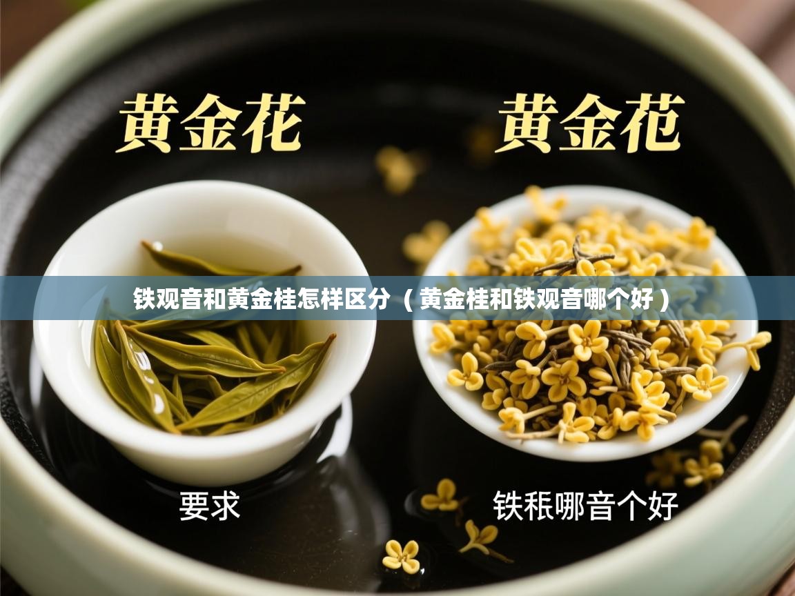  铁观音和黄金桂怎样区分  ( 黄金桂和铁观音哪个好 )