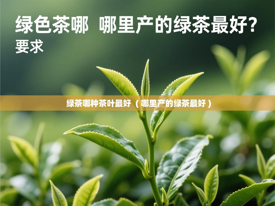  绿茶哪种茶叶最好  ( 哪里产的绿茶最好 )