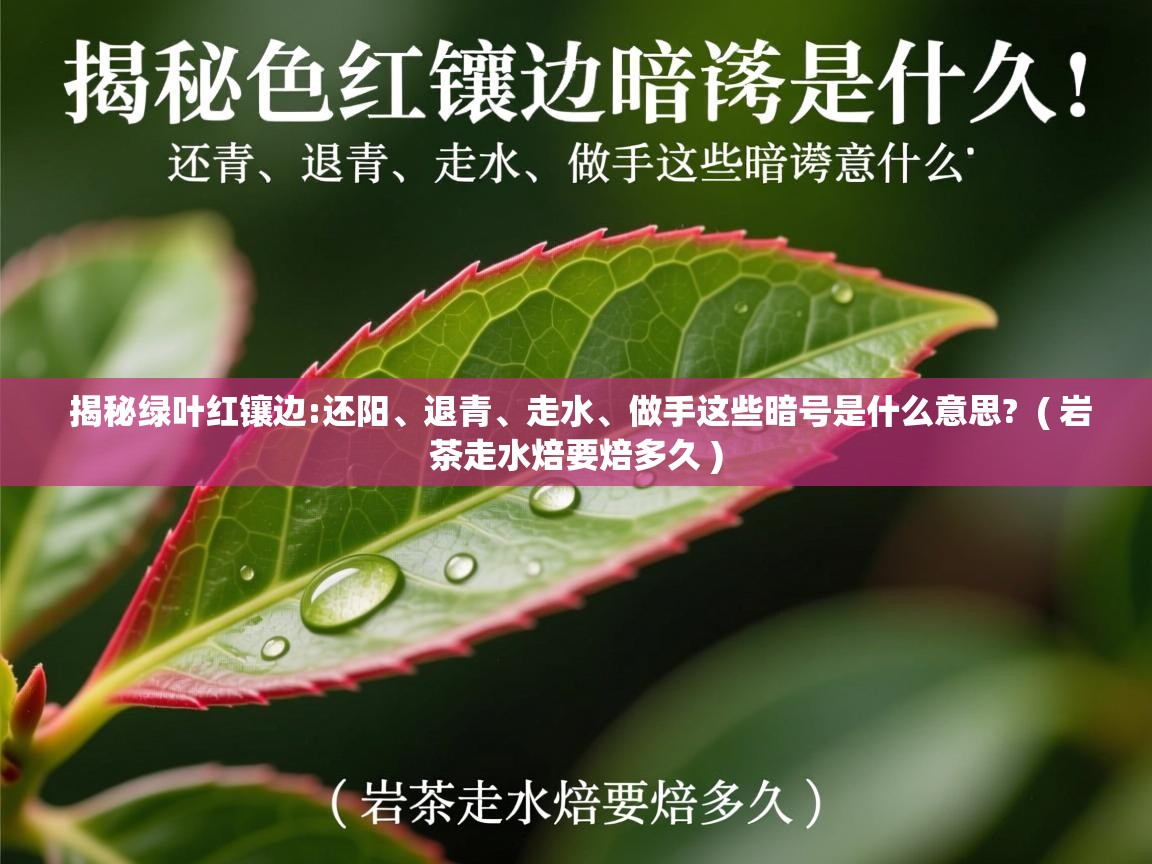  揭秘绿叶红镶边:还阳、退青、走水、做手这些暗号是什么意思?  ( 岩茶走水焙要焙多久 )