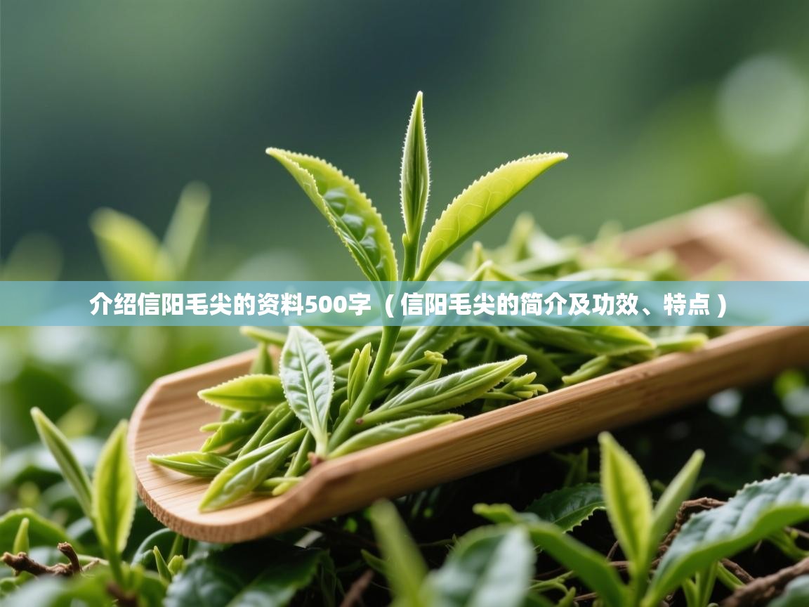 详细阅读: 介绍信阳毛尖的资料500字  ( 信阳毛尖的简介及功效、特点 )  介绍信阳毛尖的资料500字  ( 信阳毛尖的简介及功效、特点 )