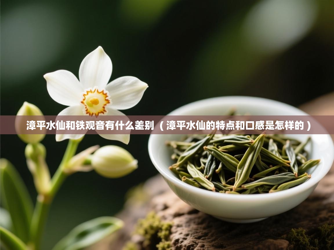  漳平水仙和铁观音有什么差别  ( 漳平水仙的特点和口感是怎样的 )