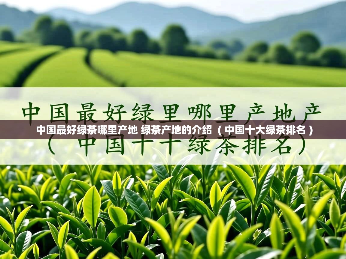  中国最好绿茶哪里产地 绿茶产地的介绍  ( 中国十大绿茶排名 )