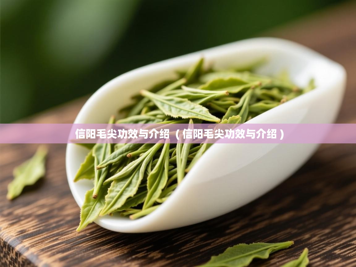 详细阅读: 信阳毛尖功效与介绍  ( 信阳毛尖功效与介绍 )  信阳毛尖功效与介绍  ( 信阳毛尖功效与介绍 )