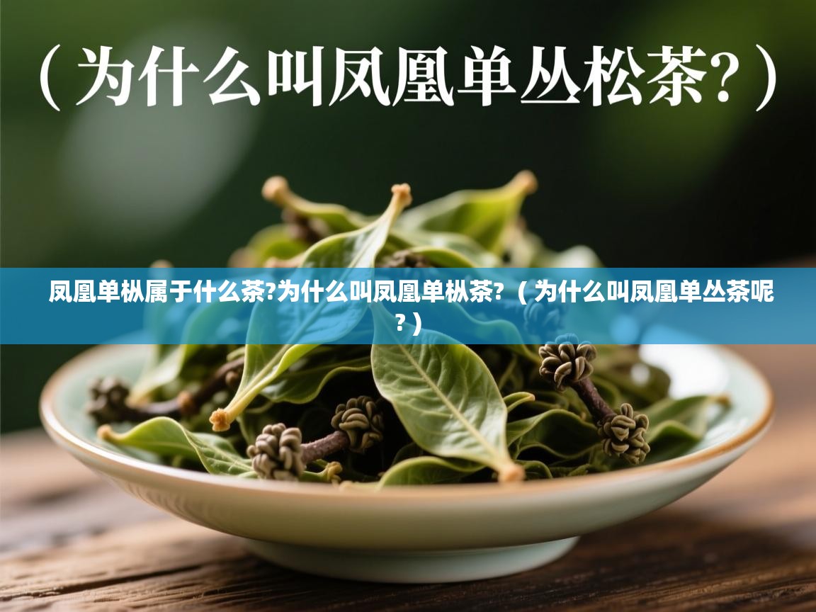 详细阅读: 凤凰单枞属于什么茶?为什么叫凤凰单枞茶?  ( 为什么叫凤凰单丛茶呢? )  凤凰单枞属于什么茶?为什么叫凤凰单枞茶?  ( 为什么叫凤凰单丛茶呢? )