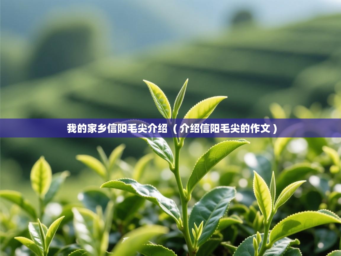 详细阅读: 我的家乡信阳毛尖介绍  ( 介绍信阳毛尖的作文 )  我的家乡信阳毛尖介绍  ( 介绍信阳毛尖的作文 )