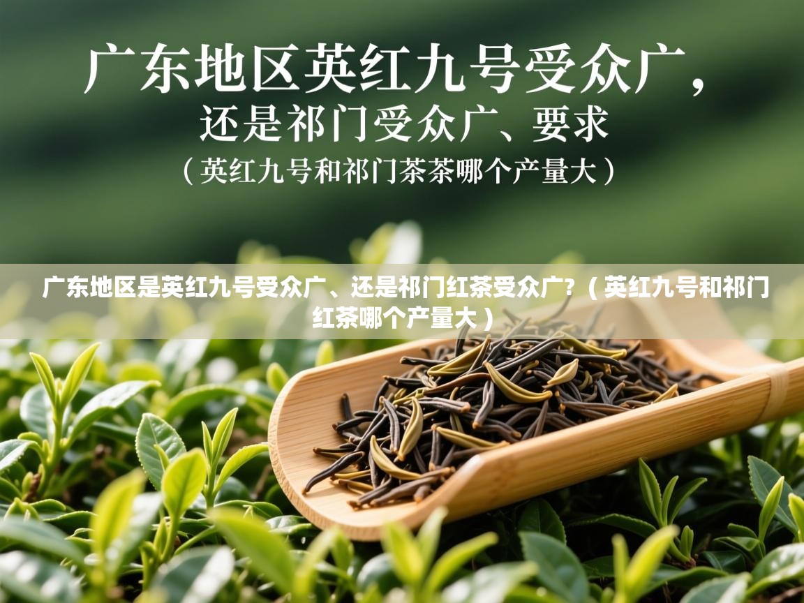  广东地区是英红九号受众广、还是祁门红茶受众广?  ( 英红九号和祁门红茶哪个产量大 )