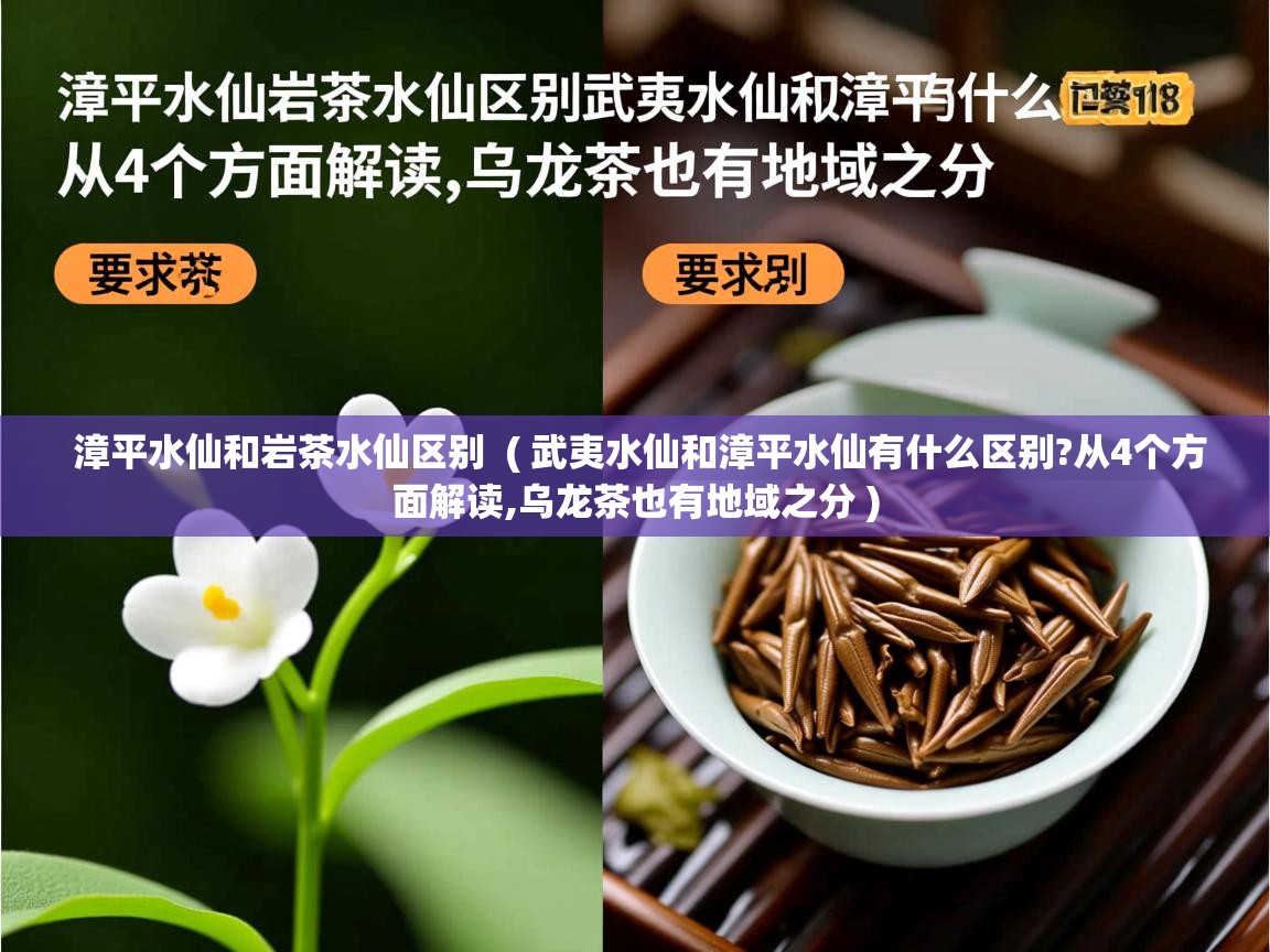  漳平水仙和岩茶水仙区别  ( 武夷水仙和漳平水仙有什么区别?从4个方面解读,乌龙茶也有地域之分 )