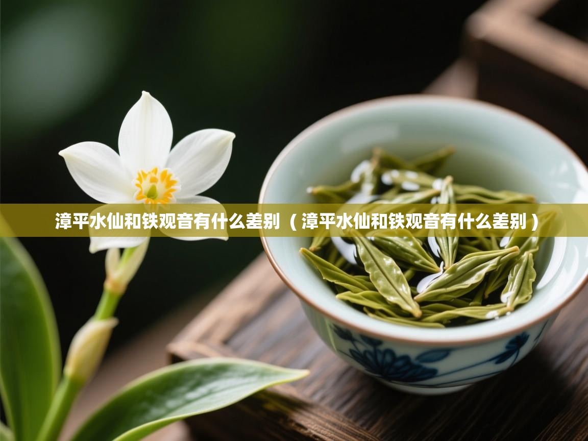  漳平水仙和铁观音有什么差别  ( 漳平水仙和铁观音有什么差别 )