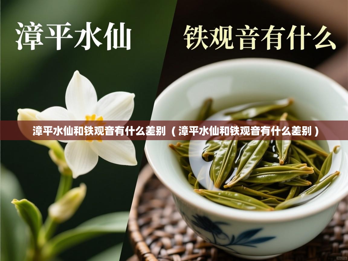  漳平水仙和铁观音有什么差别  ( 漳平水仙和铁观音有什么差别 )