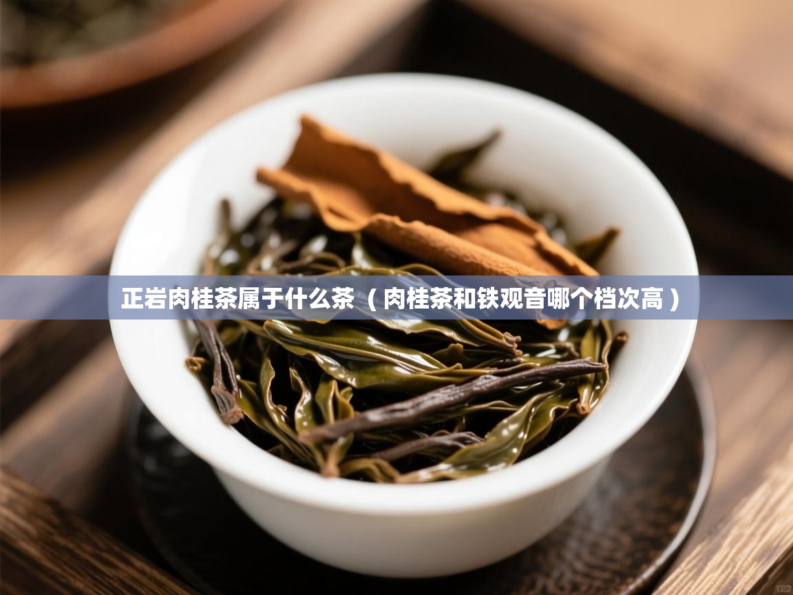 正岩肉桂茶属于什么茶  ( 肉桂茶和铁观音哪个档次高 )