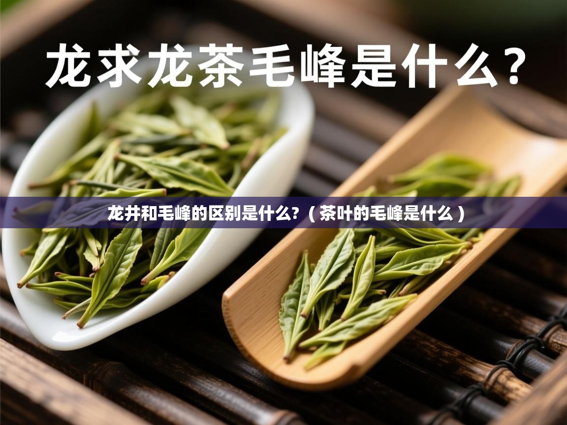  龙井和毛峰的区别是什么?  ( 茶叶的毛峰是什么 )