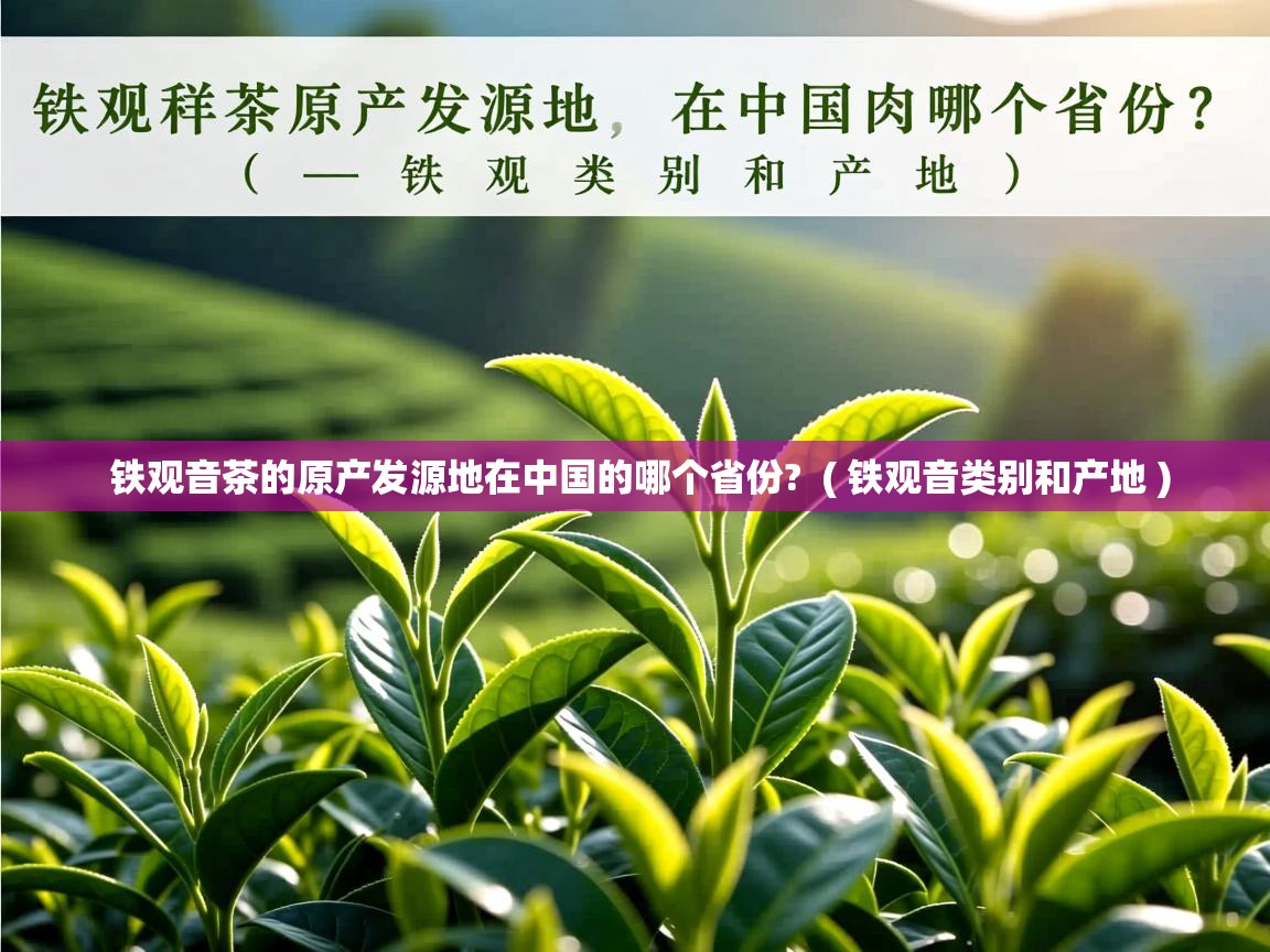 铁观音茶的原产发源地在中国的哪个省份?  ( 铁观音类别和产地 )