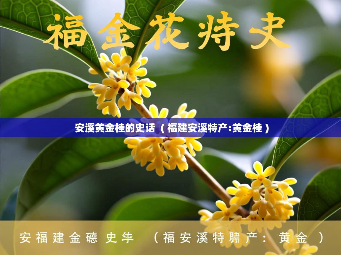  安溪黄金桂的史话  ( 福建安溪特产:黄金桂 )