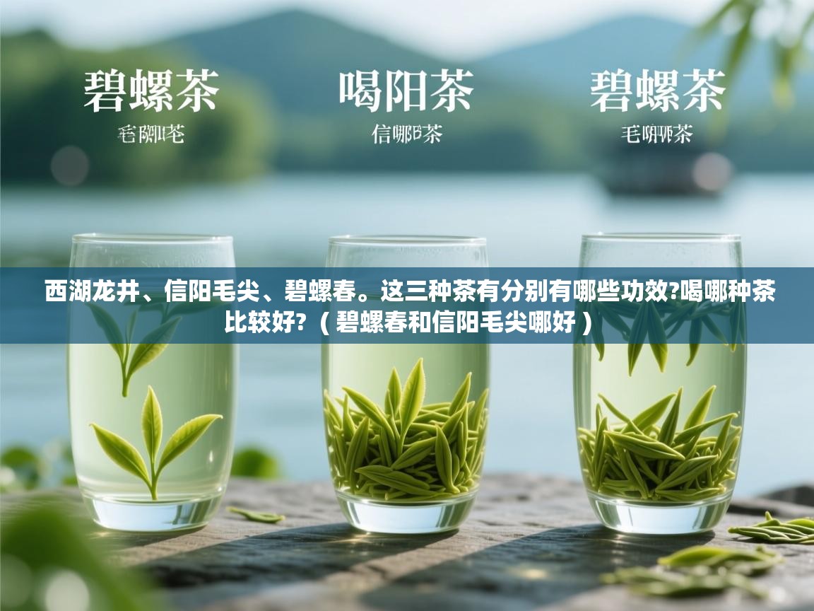  西湖龙井、信阳毛尖、碧螺春。这三种茶有分别有哪些功效?喝哪种茶比较好?  ( 碧螺春和信阳毛尖哪好 )