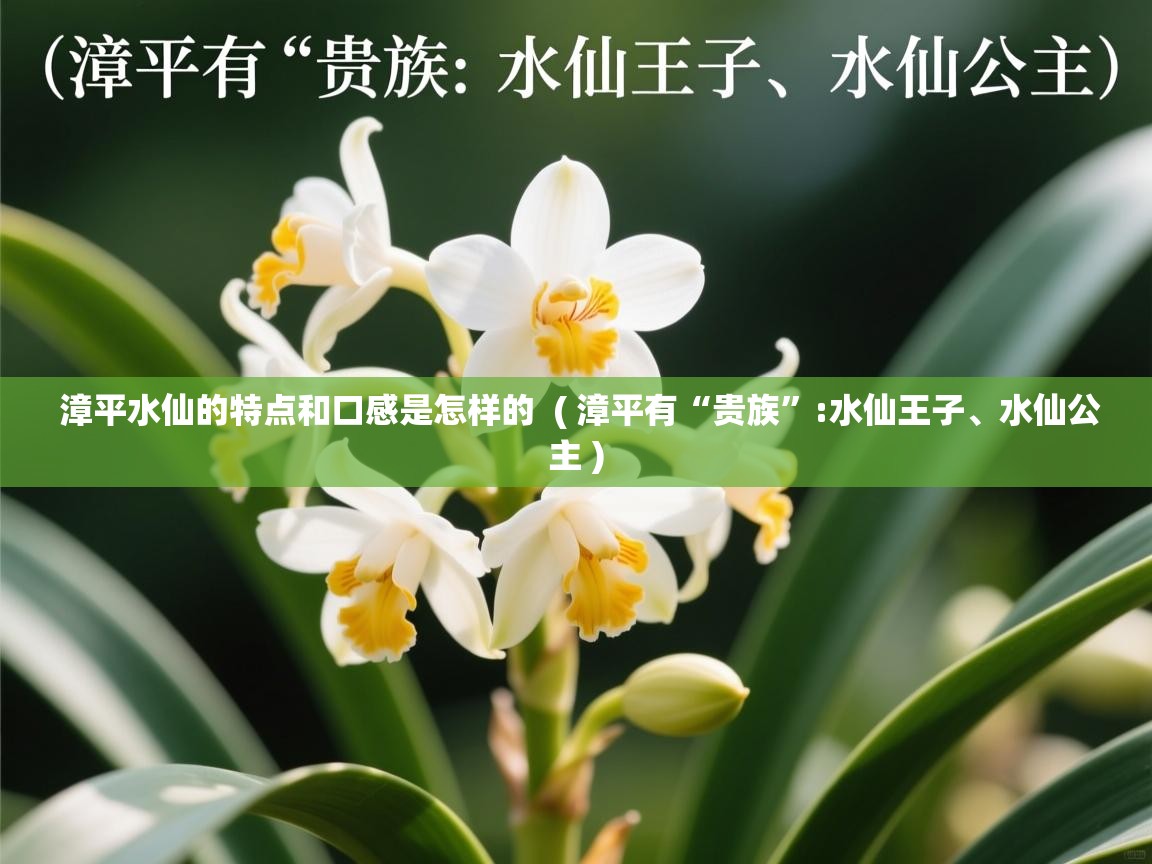  漳平水仙的特点和口感是怎样的  ( 漳平有“贵族”:水仙王子、水仙公主 )