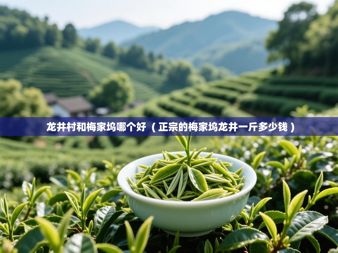  龙井村和梅家坞哪个好  ( 正宗的梅家坞龙井一斤多少钱 )