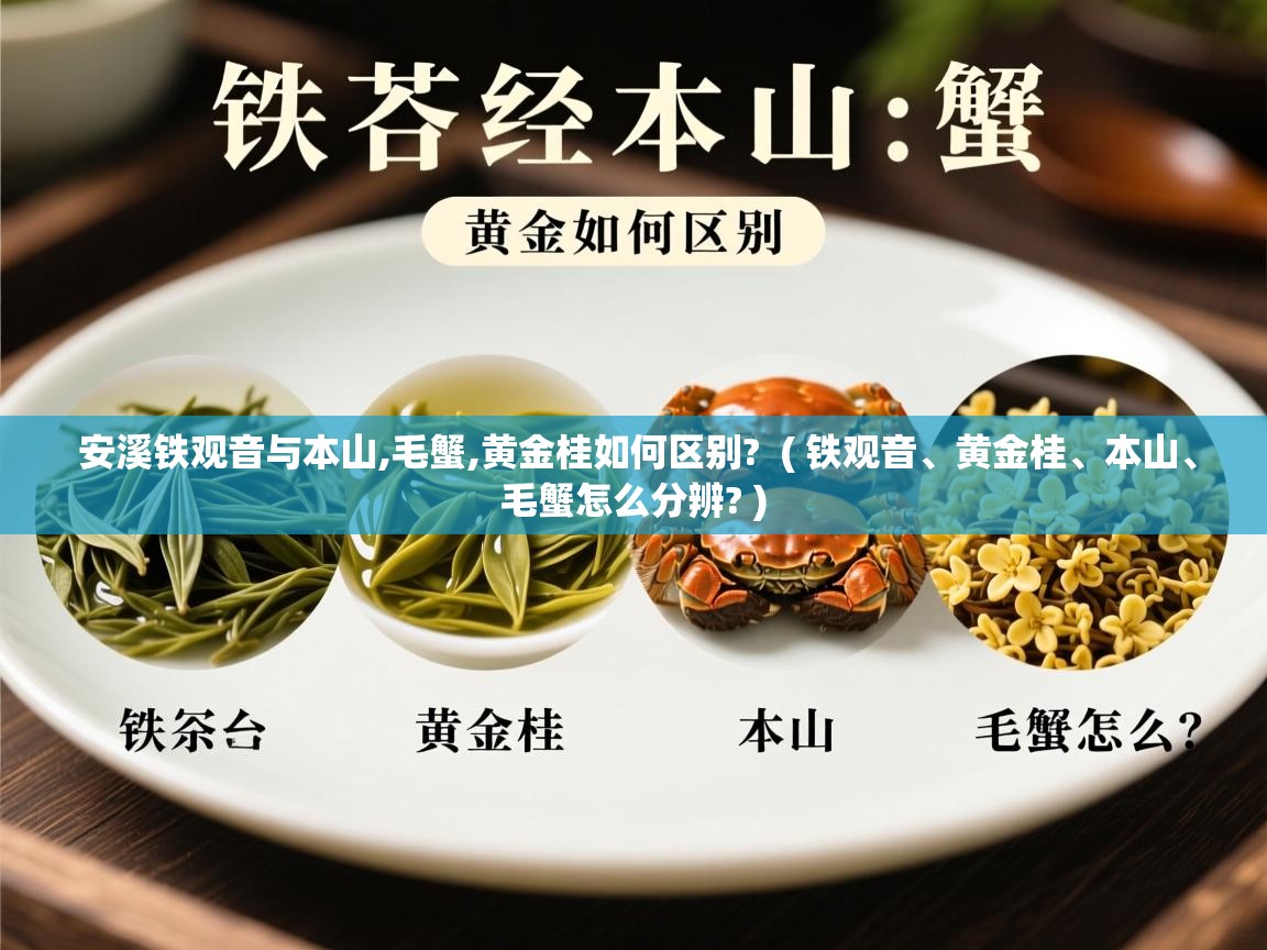  安溪铁观音与本山,毛蟹,黄金桂如何区别?  ( 铁观音、黄金桂、本山、毛蟹怎么分辨? )