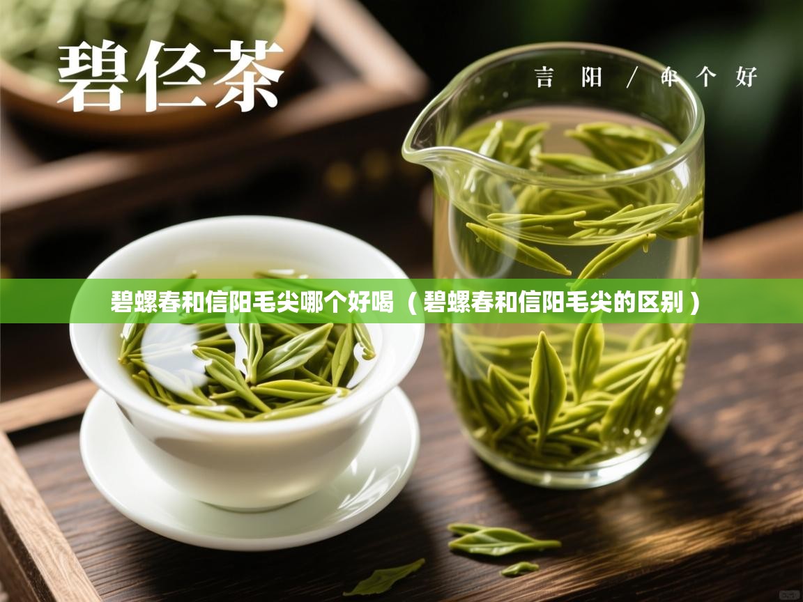  碧螺春和信阳毛尖哪个好喝  ( 碧螺春和信阳毛尖的区别 )