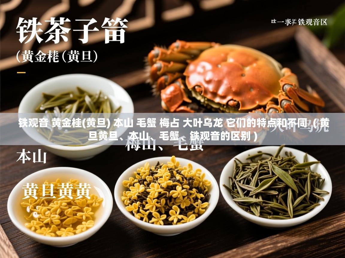  铁观音 黄金桂(黄旦) 本山 毛蟹 梅占 大叶乌龙 它们的特点和不同  ( 黄旦黄旦、本山、毛蟹、铁观音的区别 )