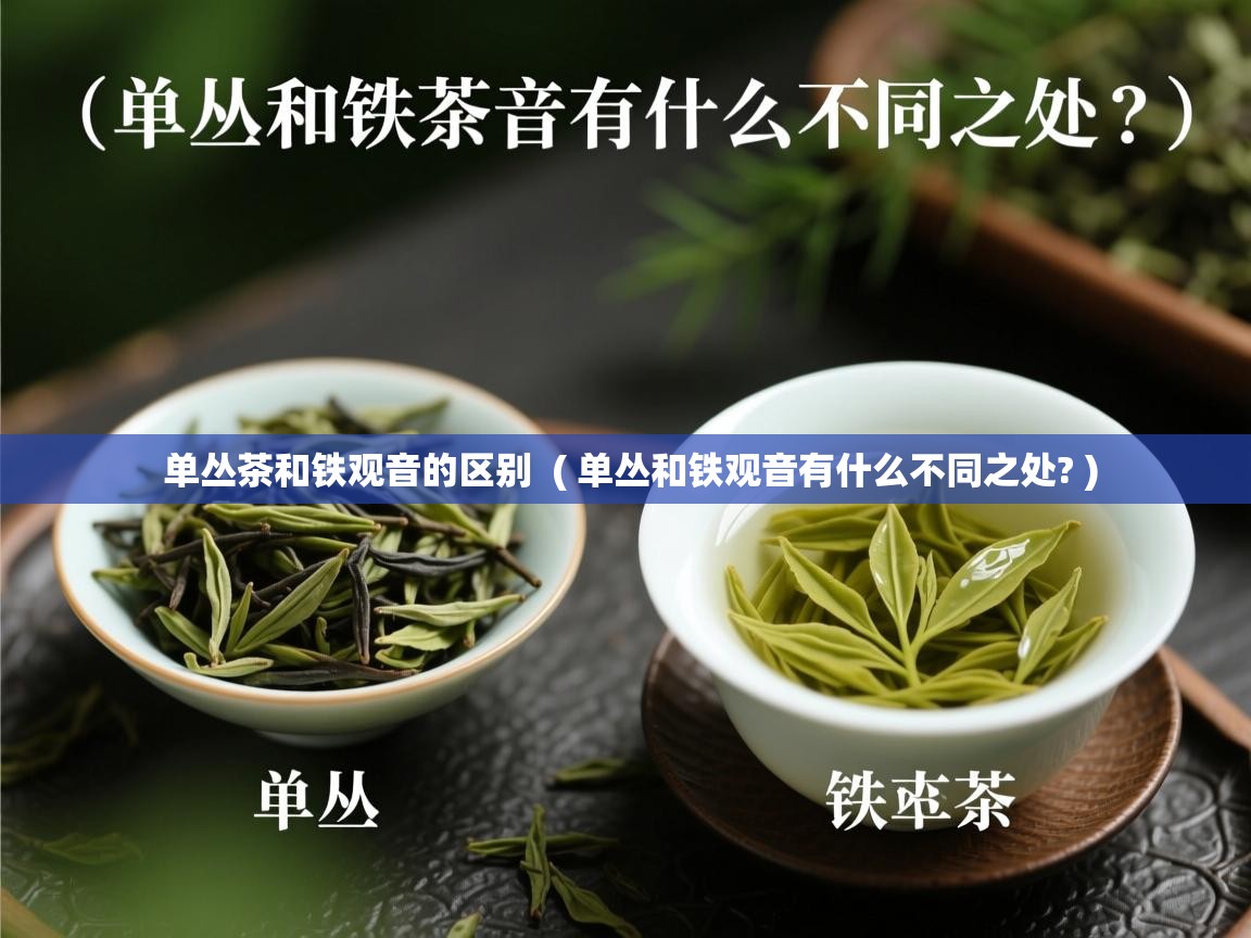 详细阅读: 单丛茶和铁观音的区别  ( 单丛和铁观音有什么不同之处? )  单丛茶和铁观音的区别  ( 单丛和铁观音有什么不同之处? )