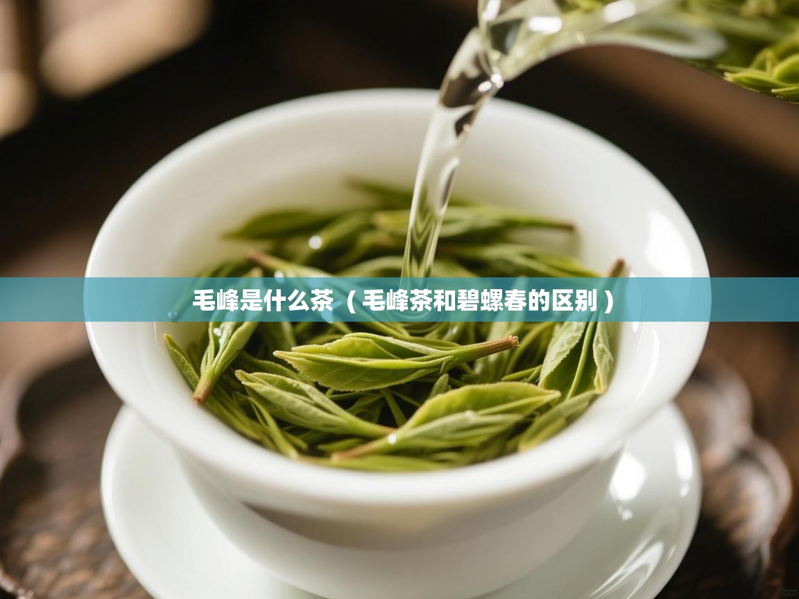 毛峰是什么茶  ( 毛峰茶和碧螺春的区别 )