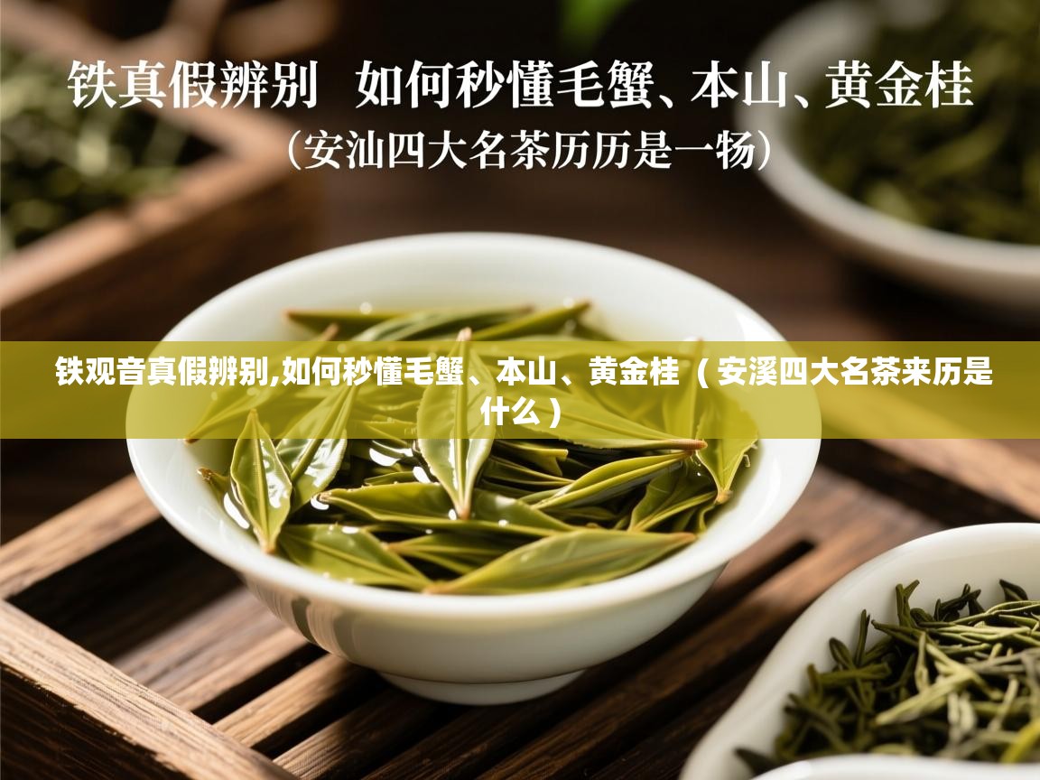  铁观音真假辨别,如何秒懂毛蟹、本山、黄金桂  ( 安溪四大名茶来历是什么 )