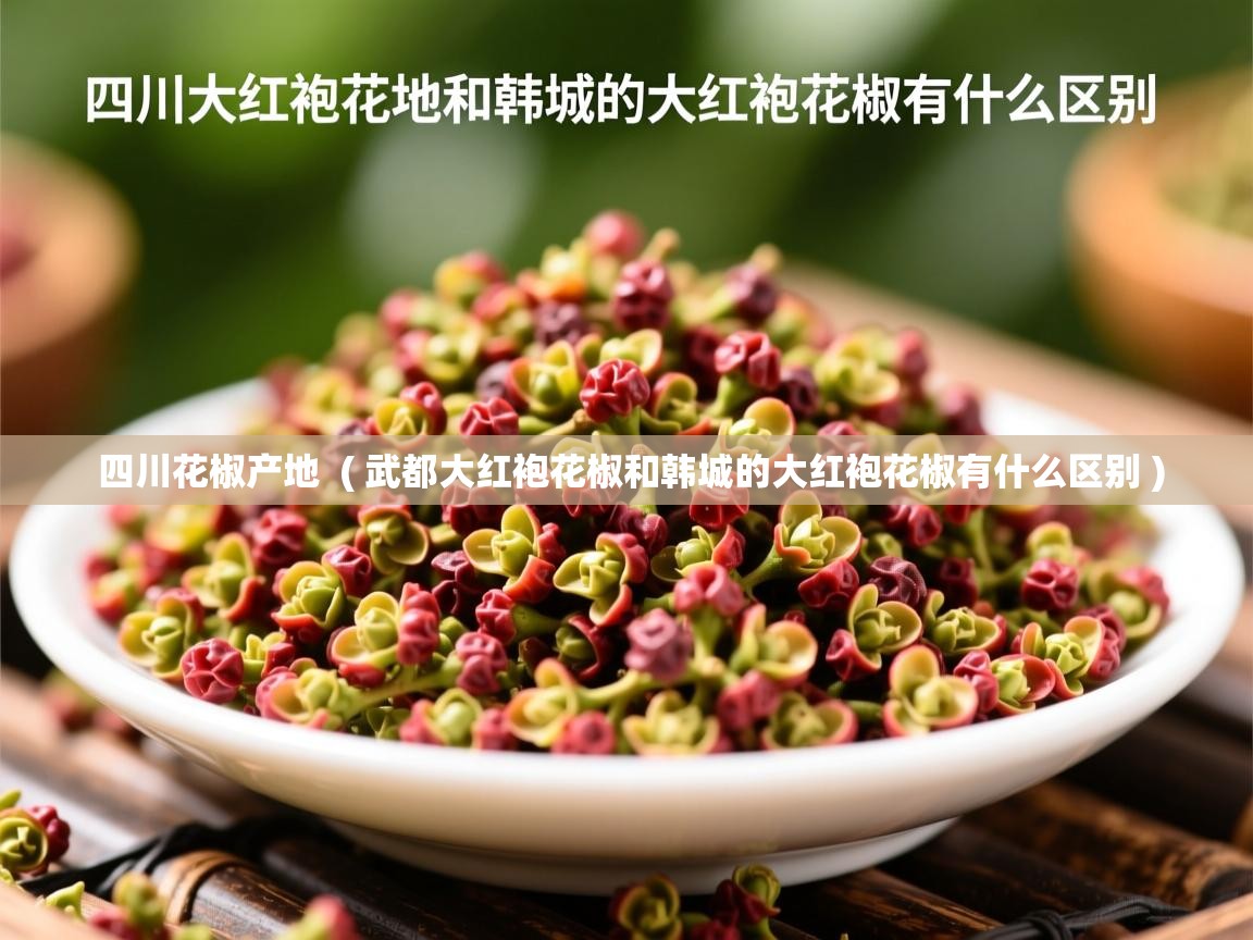  四川花椒产地  ( 武都大红袍花椒和韩城的大红袍花椒有什么区别 )
