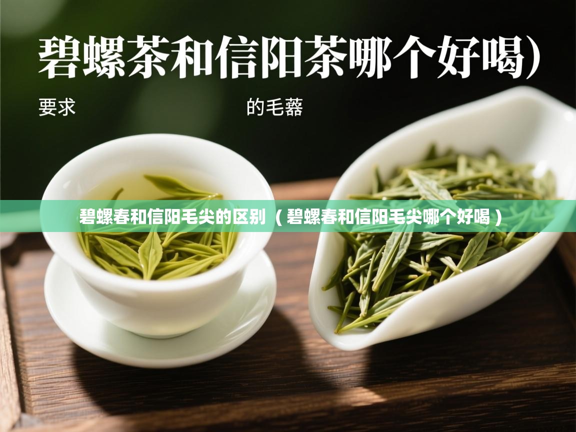  碧螺春和信阳毛尖的区别  ( 碧螺春和信阳毛尖哪个好喝 )