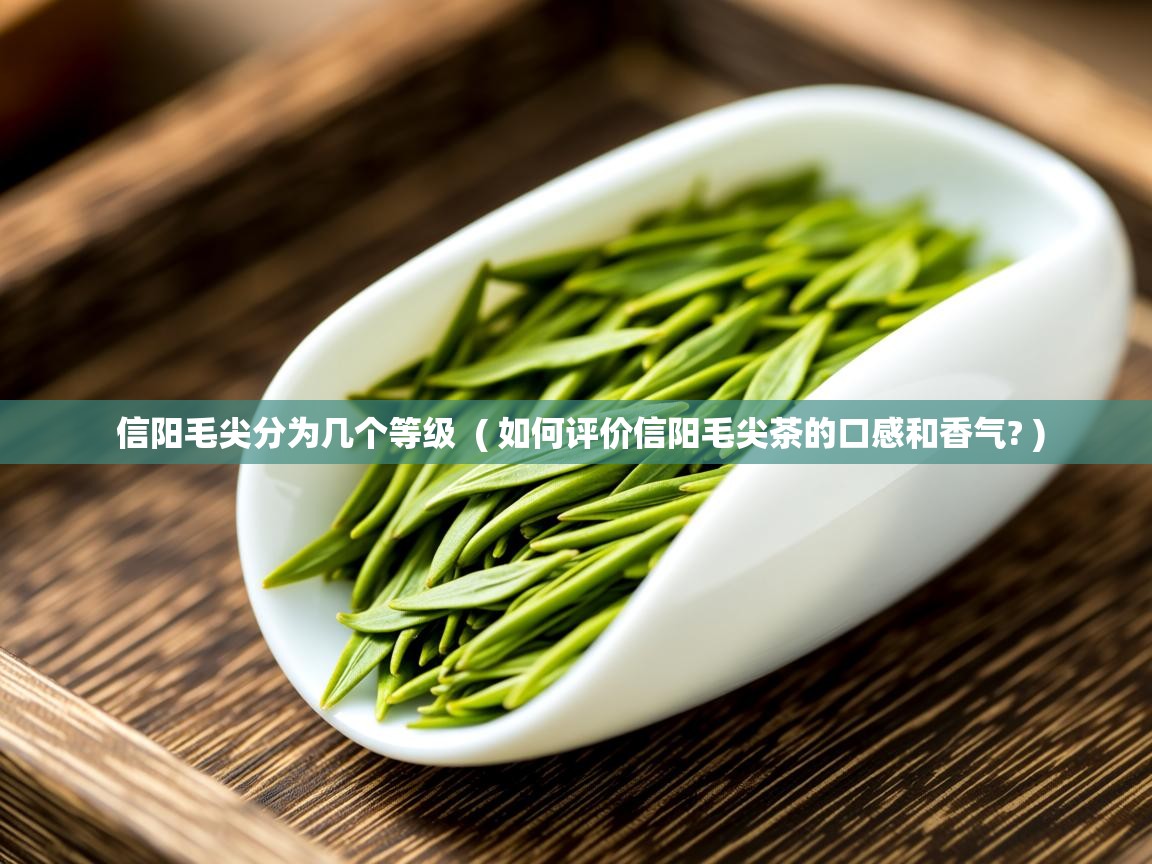 详细阅读: 信阳毛尖分为几个等级  ( 如何评价信阳毛尖茶的口感和香气? )  信阳毛尖分为几个等级  ( 如何评价信阳毛尖茶的口感和香气? )