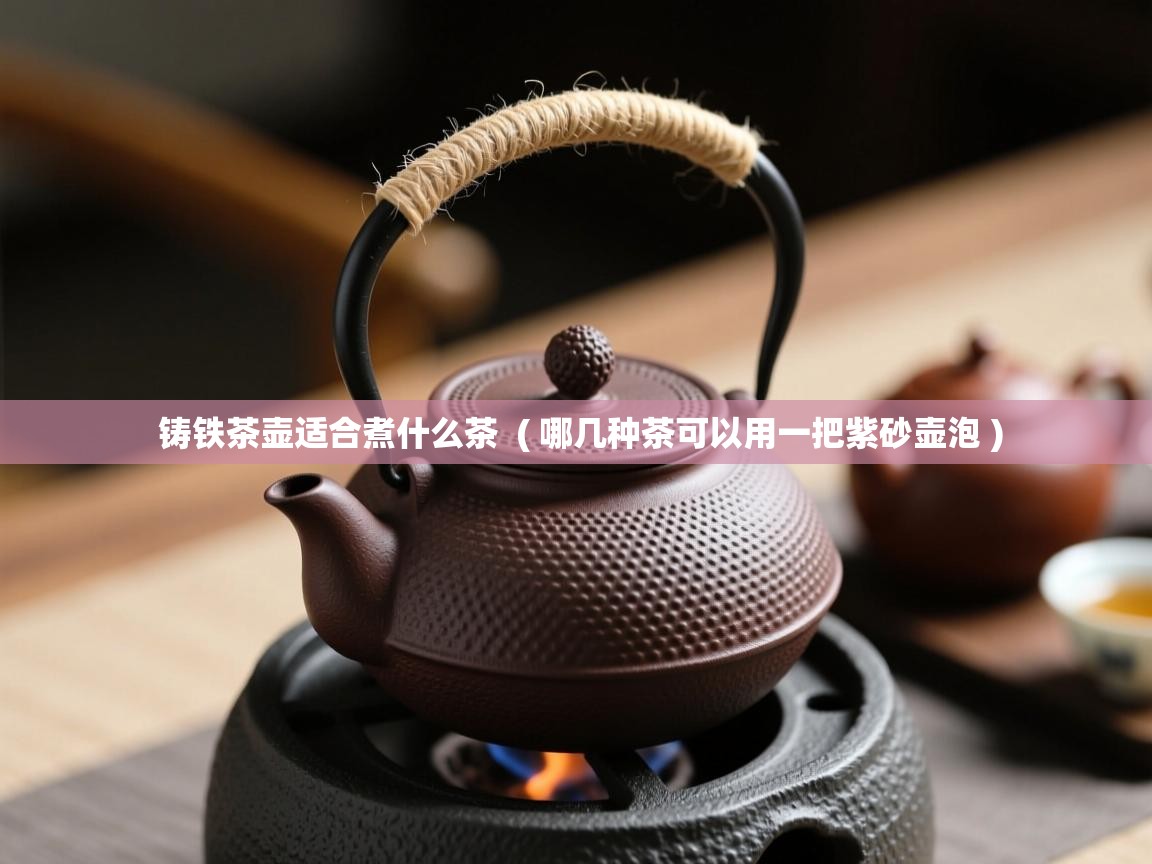 详细阅读: 铸铁茶壶适合煮什么茶  ( 哪几种茶可以用一把紫砂壶泡 )  铸铁茶壶适合煮什么茶  ( 哪几种茶可以用一把紫砂壶泡 )