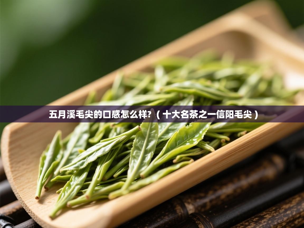 详细阅读: 五月溪毛尖的口感怎么样?  ( 十大名茶之一信阳毛尖 )  五月溪毛尖的口感怎么样?  ( 十大名茶之一信阳毛尖 )