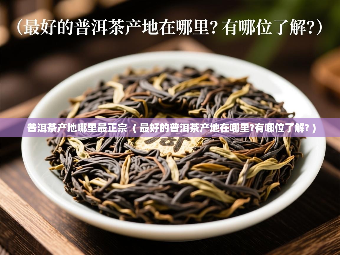  普洱茶产地哪里最正宗  ( 最好的普洱茶产地在哪里?有哪位了解? )