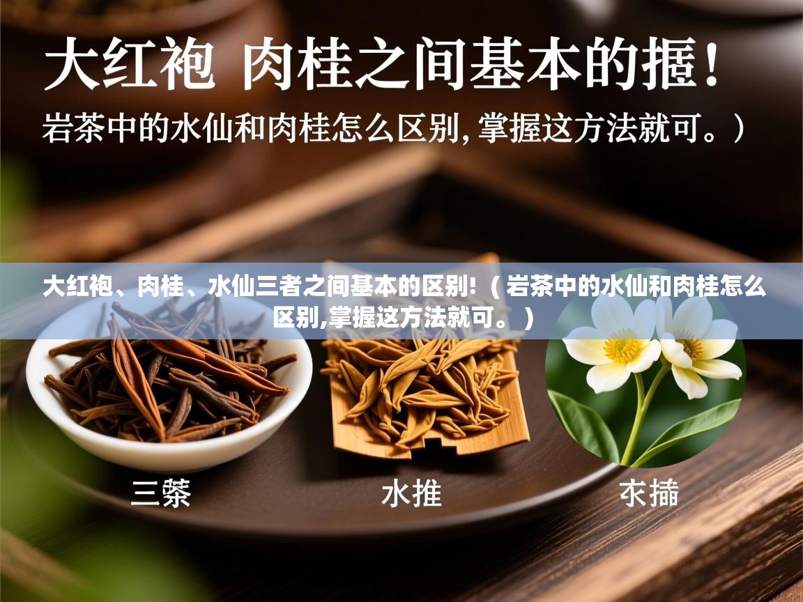  大红袍、肉桂、水仙三者之间基本的区别!  ( 岩茶中的水仙和肉桂怎么区别,掌握这方法就可。 )