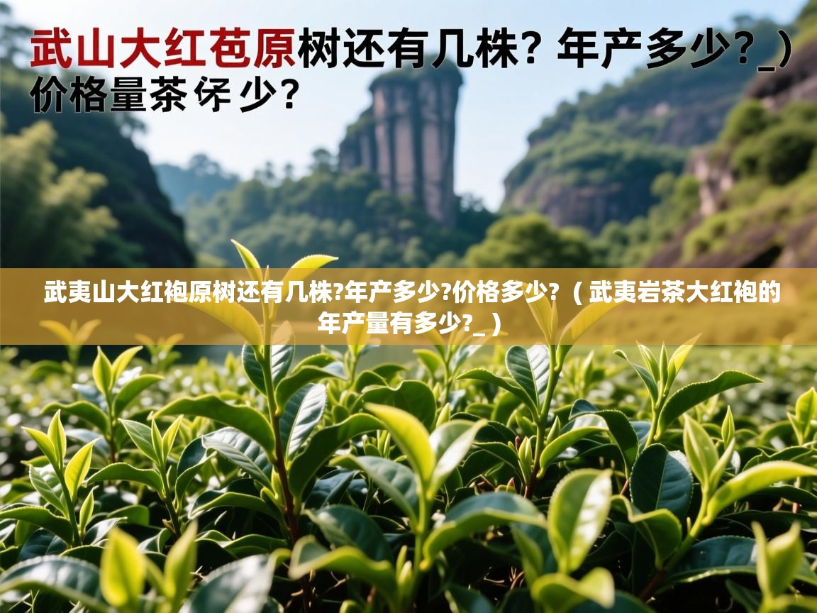  武夷山大红袍原树还有几株?年产多少?价格多少?  ( 武夷岩茶大红袍的年产量有多少?_ )
