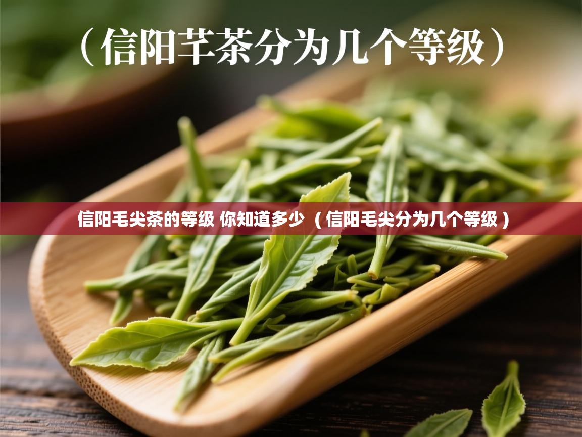 详细阅读: 信阳毛尖茶的等级 你知道多少  ( 信阳毛尖分为几个等级 )  信阳毛尖茶的等级 你知道多少  ( 信阳毛尖分为几个等级 )