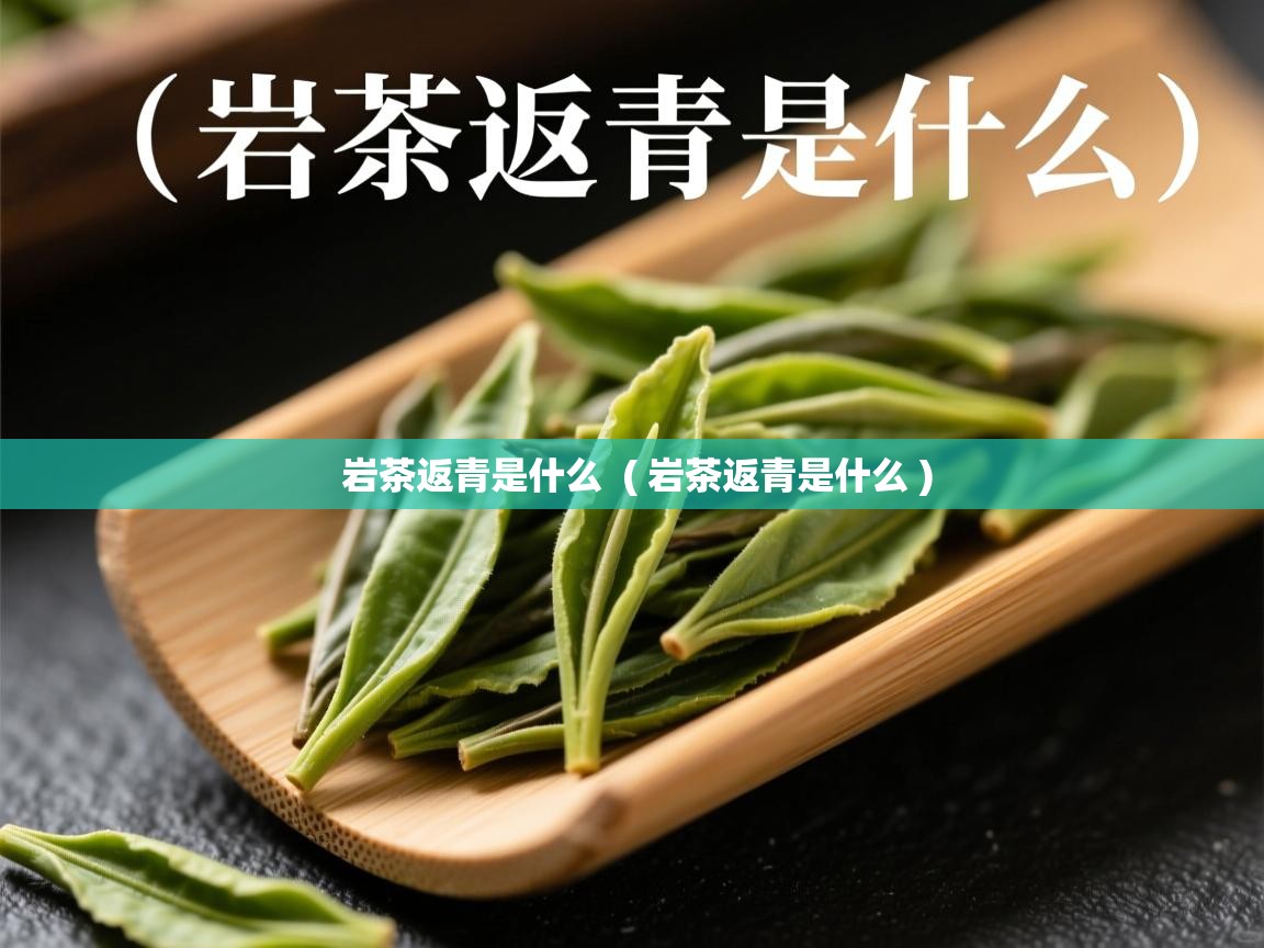  岩茶返青是什么  ( 岩茶返青是什么 )